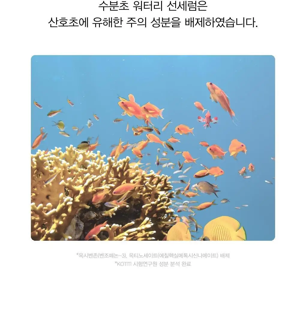 [리뉴얼]아비브 선크림 3종 택1 (글루타치온좀/어성초/수분초) 상세페이지 83